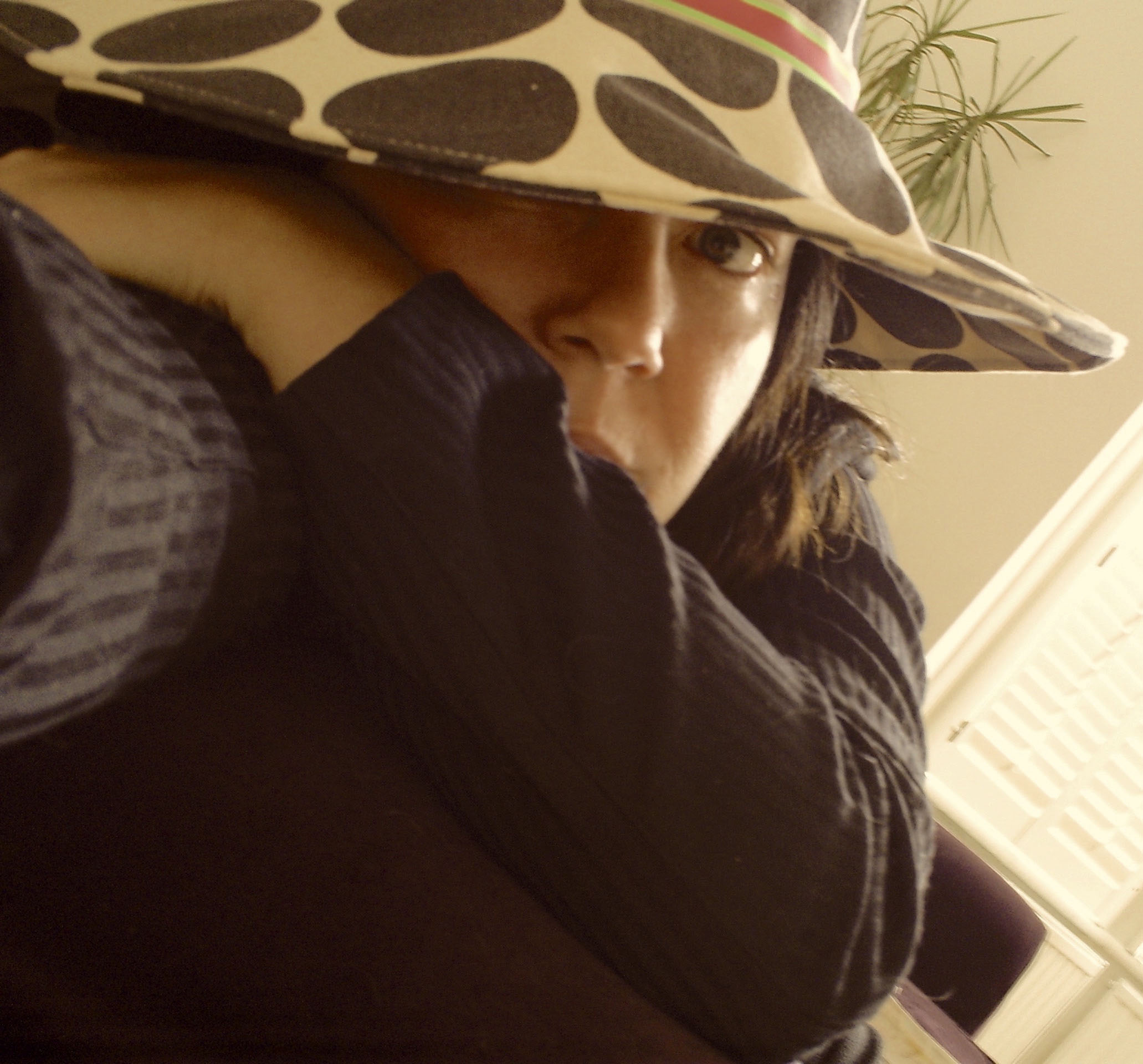 Imagen destacada de grupo: A Girl Called Eddy